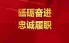 述职履职报告6篇
