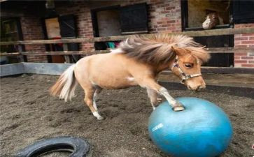 兵马俑的观后感7篇