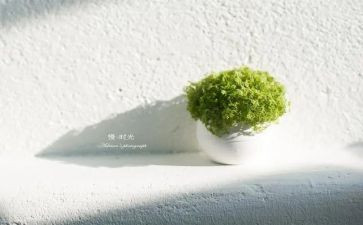 怕,慢,假,庸,散自查报告优质6篇