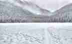 冬奥会冰雪运动作文7篇