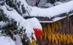 关于冬天雪的心得体会6篇