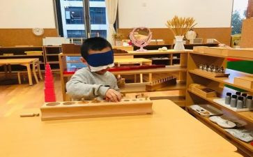 2023教研蒙氏工作计划精选8篇