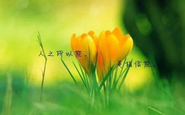 读名人故事演讲稿6篇