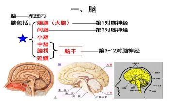 2023脑卒中活动总结6篇