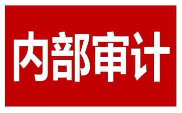 年度内审工作计划5篇
