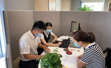 过年办年货作文8篇