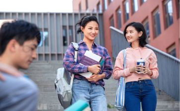 2024年少先队小学工作总结最新8篇
