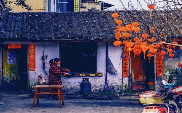中国的年味作文8篇