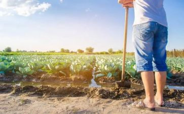 农夫与蛇读后感优秀6篇