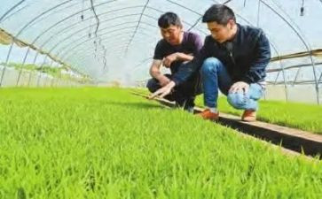 农技年度工作计划7篇