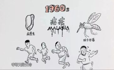 疟疾日活动总结6篇