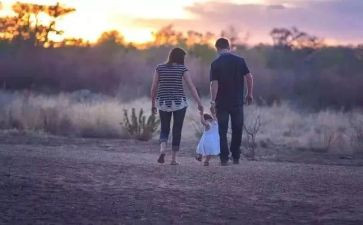 有书陪伴作文最新6篇