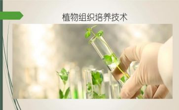 家长培养孩子心得体会5篇