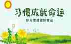 培养青年教师方案计划8篇