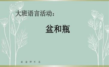 大班语言盆和瓶教案反思5篇