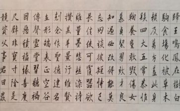 教千字文心得体会6篇