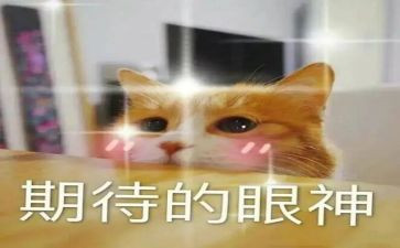我期待的作文600字参考5篇