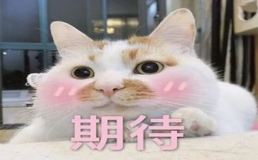 我期待的作文参考6篇