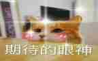 我期待的作文600字参考5篇