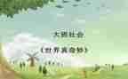 奇妙的书读后感精选7篇