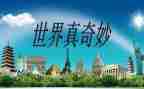 奇妙的书读后感参考5篇