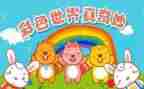 奇妙之旅读后感5篇