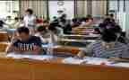小学教师期末工作总结个人总结参考7篇