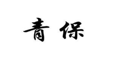 中学青保工作计划精选7篇