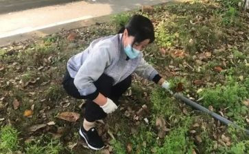 清垃圾活动方案推荐7篇