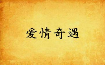 读木偶奇遇读后感5篇