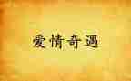 读木偶奇遇读后感5篇