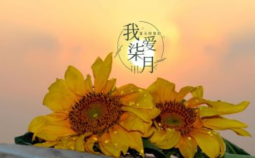 幼儿园七月份月工作总结8篇