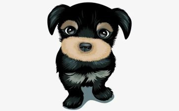《警犬拉拉》读后感7篇