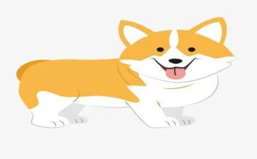 导盲犬迪克读后感精选6篇