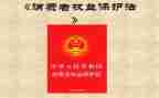 消费权益活动总结通用5篇