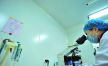 教师春学期个人工作总结5篇