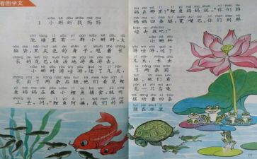 小学教师个人教育工作总结6篇
