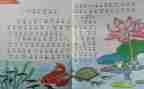 小学教师个人教育工作总结6篇