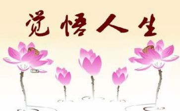 关于人生读后感5篇
