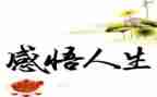 有人生启示的作文8篇