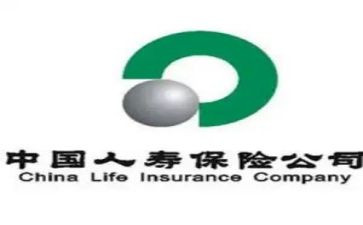 2024年人寿保险工作总结7篇