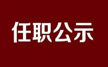 任职述职报告模板6篇
