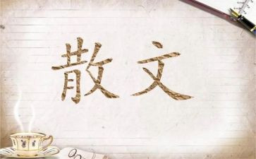 茶散文读后感7篇