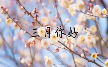 2024年幼儿园三月份工作计划推荐8篇