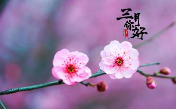 2024年三月份工作计划6篇
