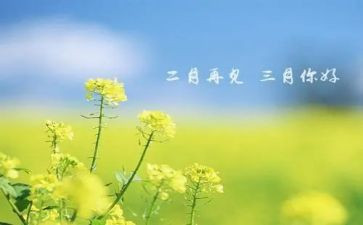 中班三月份工作计划6篇