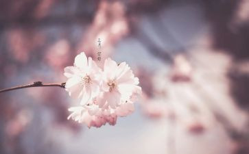 教师三月工作总结5篇