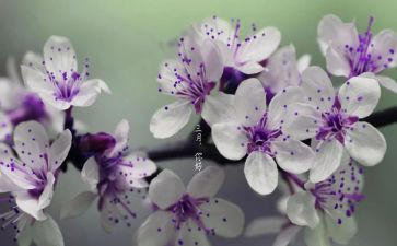 三月的工作总结6篇