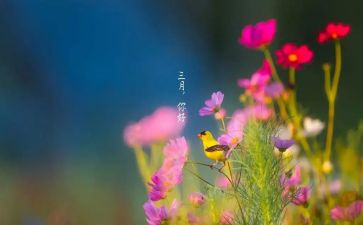 三月的工作总结参考7篇