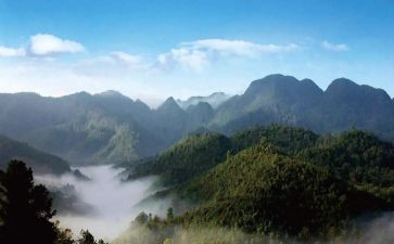 九九重阳登山活动方案6篇